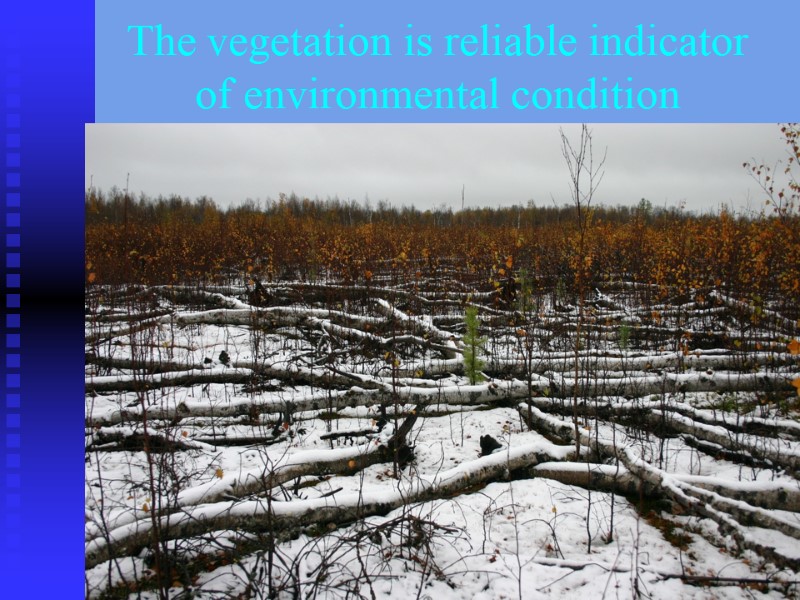The vegetation is reliable indicator of environmental condition